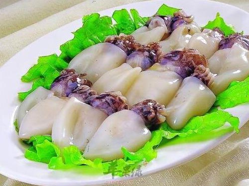 墨鱼的营养价值