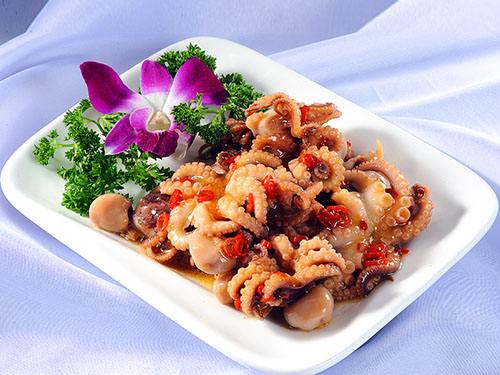 吃八爪鱼会过敏吗