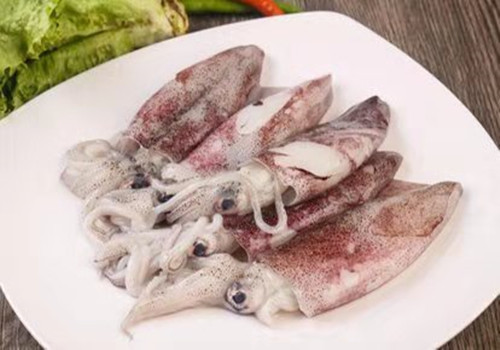 墨鱼的功???
