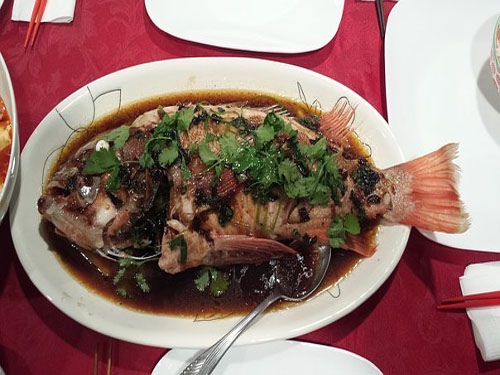 fish-2147040__340.jpg