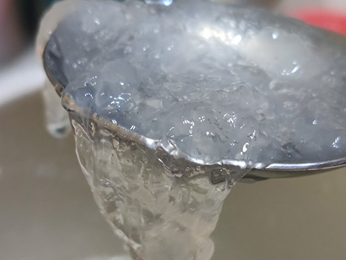 真雪燕与假雪燕的区别