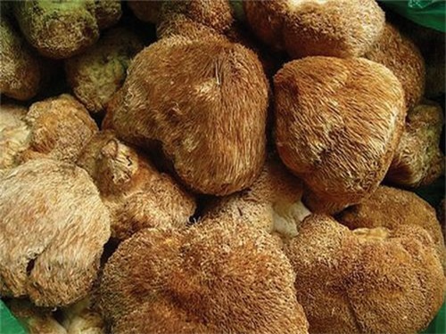 猴头菌提取物颗粒饭前还是饭后???