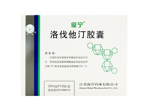 洛伐他汀胶囊的价格多少钱