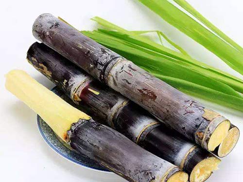 甘蔗的功效与作用