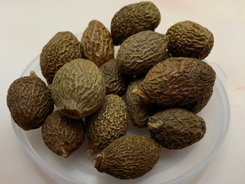 五大人群不适合胖大海菊花茶 什么人不适合喝胖大海菊花茶