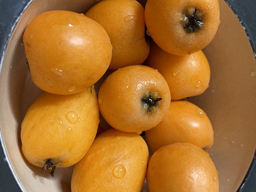 枇杷籽怎么食用 枇杷籽煮水是治寒咳还是热咳