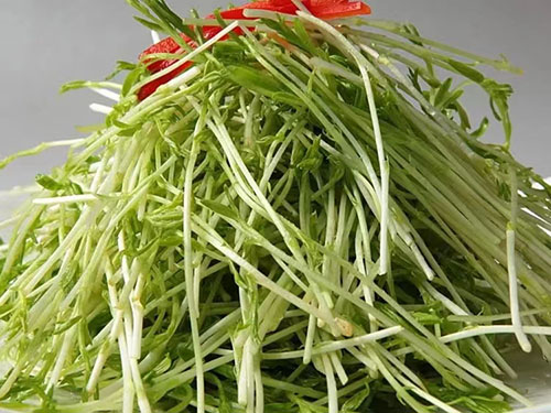 相思菜的作用和功效 相思菜怎么做好吃