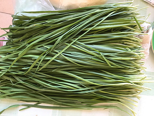 野韭菜花的营养价值