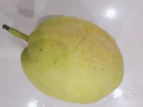 恩济堂秋梨膏的副作用 恩济堂秋梨膏的正确用法