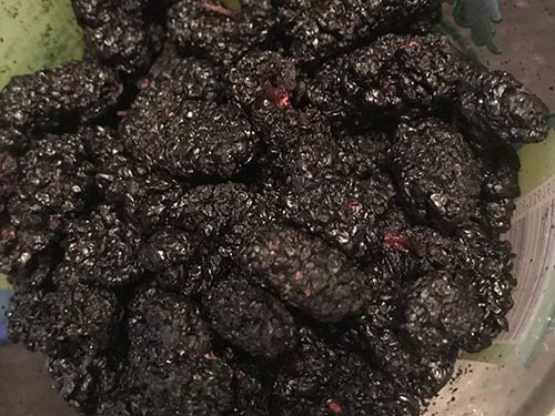 4类人群不宜吃桑葚 桑葚泡酒的功效与作用
