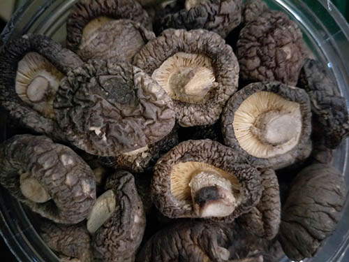 吃什么对卵巢有好处