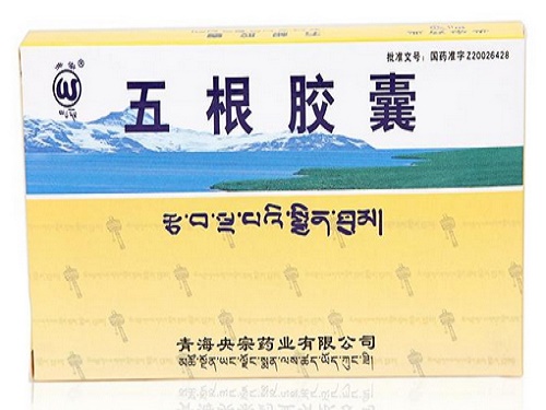 五根胶囊的副作用 五根胶囊能治骨膜炎吗