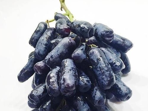 黑提子的功效与作???