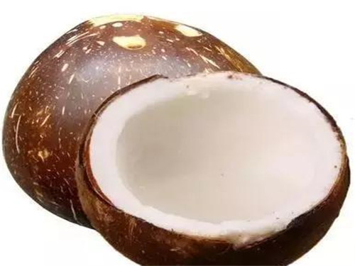 老椰子和青椰子的区别