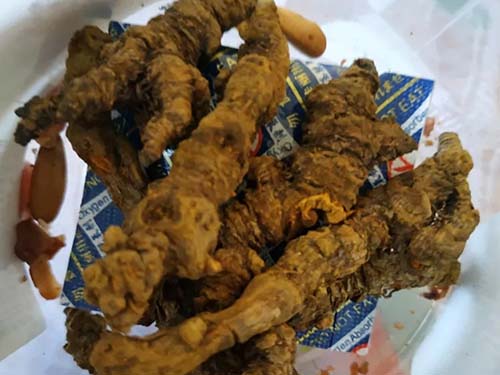 黄莲的作用都有哪些呢