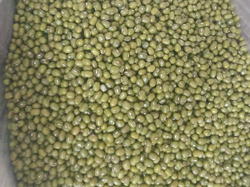 臭草煲绿豆功效