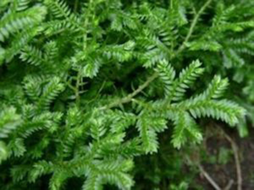 a6f1c6d011ec3eb8-24a7d2f0017e9218-e6f9913484f0c3837d2c34139fb04734.jpg