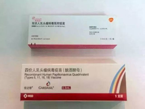 国产宫颈癌疫苗和进口疫苗有什么区别