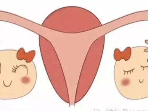 卵巢