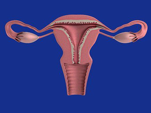 uterus-1089344__340.jpg