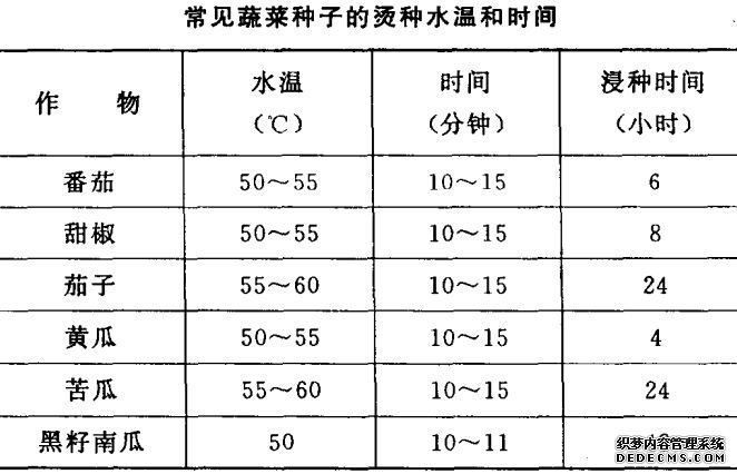 蔬菜种植