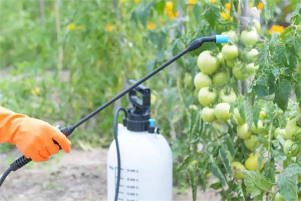 怎样自制植物源农药