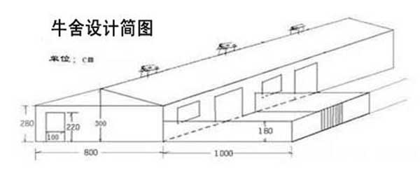 养牛技术