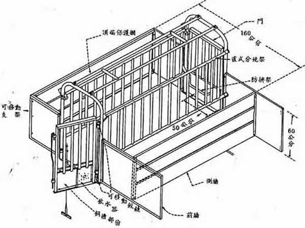 母猪养殖