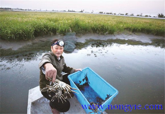 水源充足、水质清新无污染