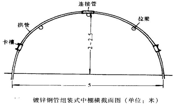 塑料中棚加外覆盖能明显使蔬菜早熟，效益高