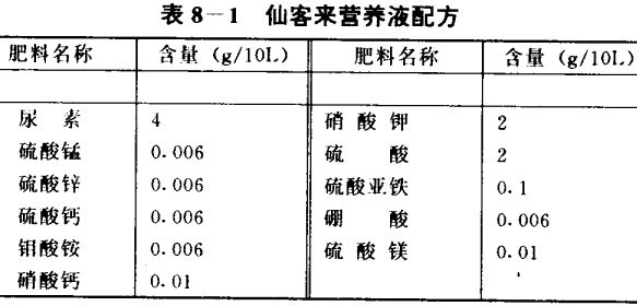 仙客来