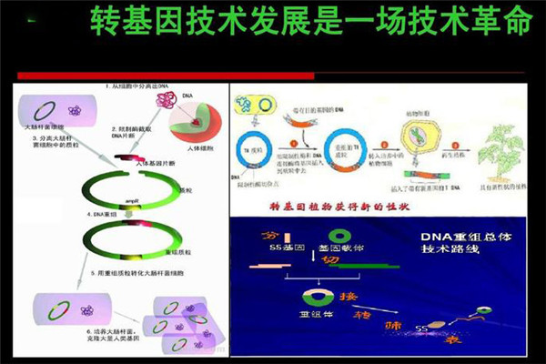 转基因技术的原理是什么