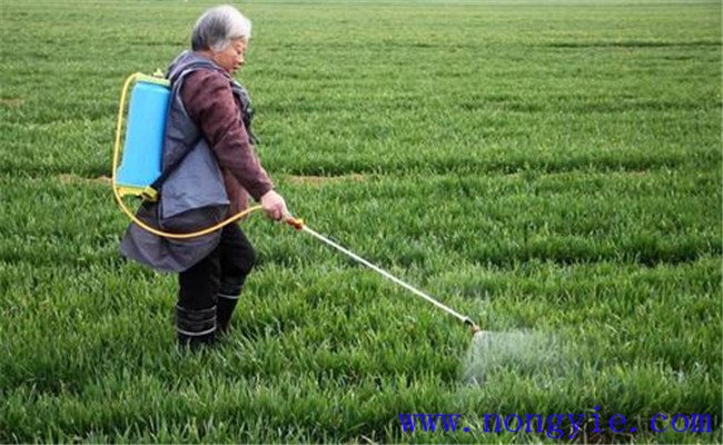 灭草松除草剂使用范围