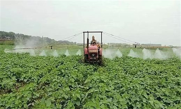 采用机械除草与化学除草相结合