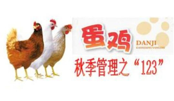 蛋鸡秋季饲养管理