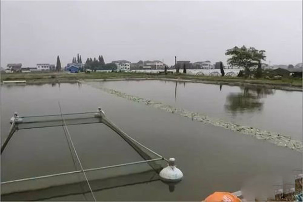 注意池底ph值和池上层水ph值差