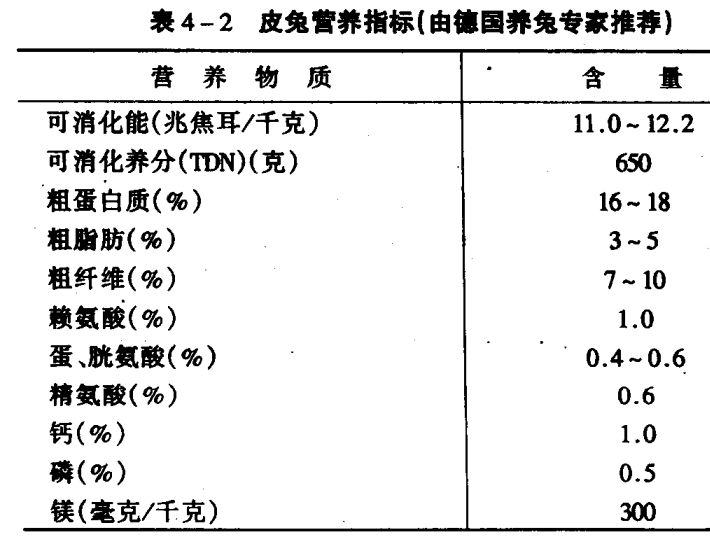 长毛兔的饲养技术