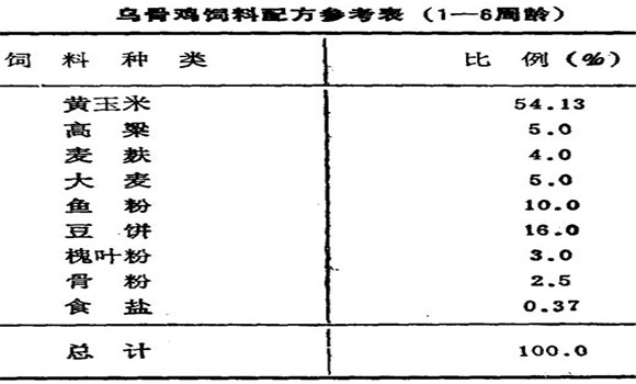 乌骨鸡的饲养技术