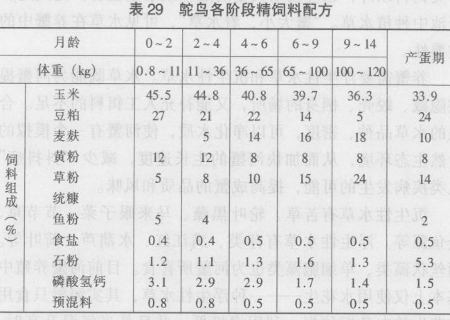 鸵鸟饲养管理技术