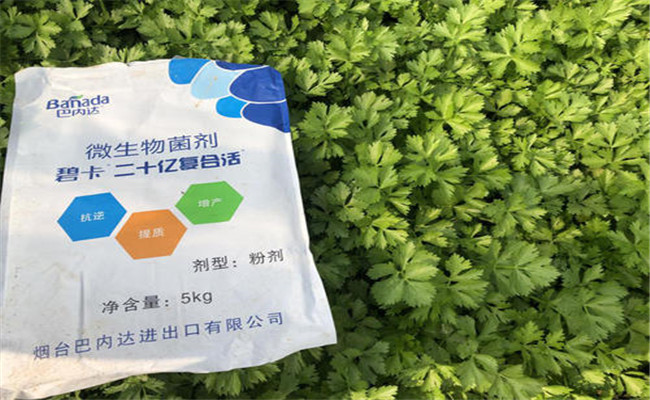 微生物菌剂使用方法