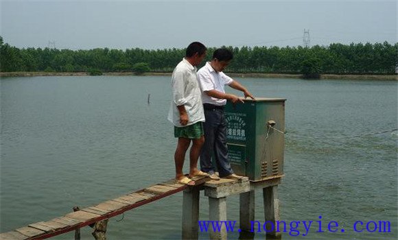 科学投饵饲喂