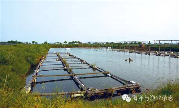 鱼池老水的特征