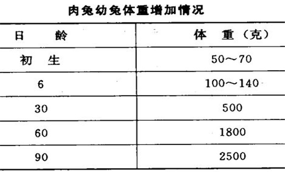 家兔的生长发育