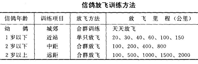 信鸽的饲养与训练