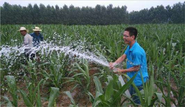 及时浇水和排灌