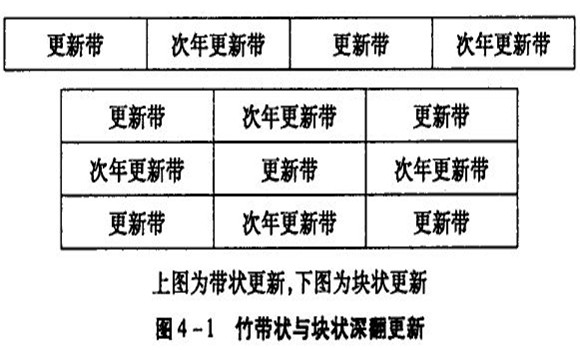 退化竹林块状更新改造方法