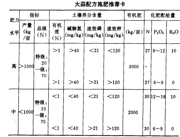 大蒜种植方法