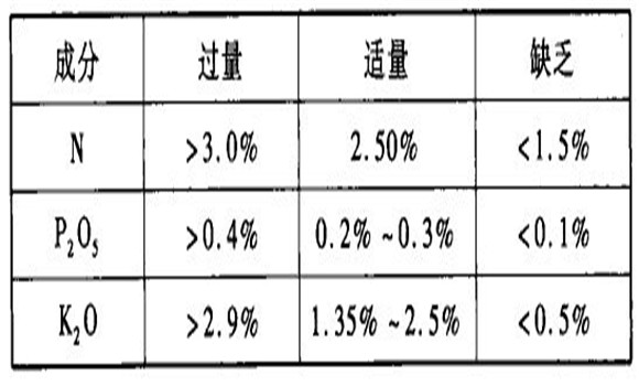 苹果园的施肥与灌溉技术