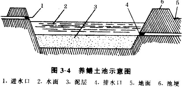 黄鳝养殖技术