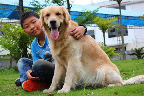 妊娠母犬管理应注意事项